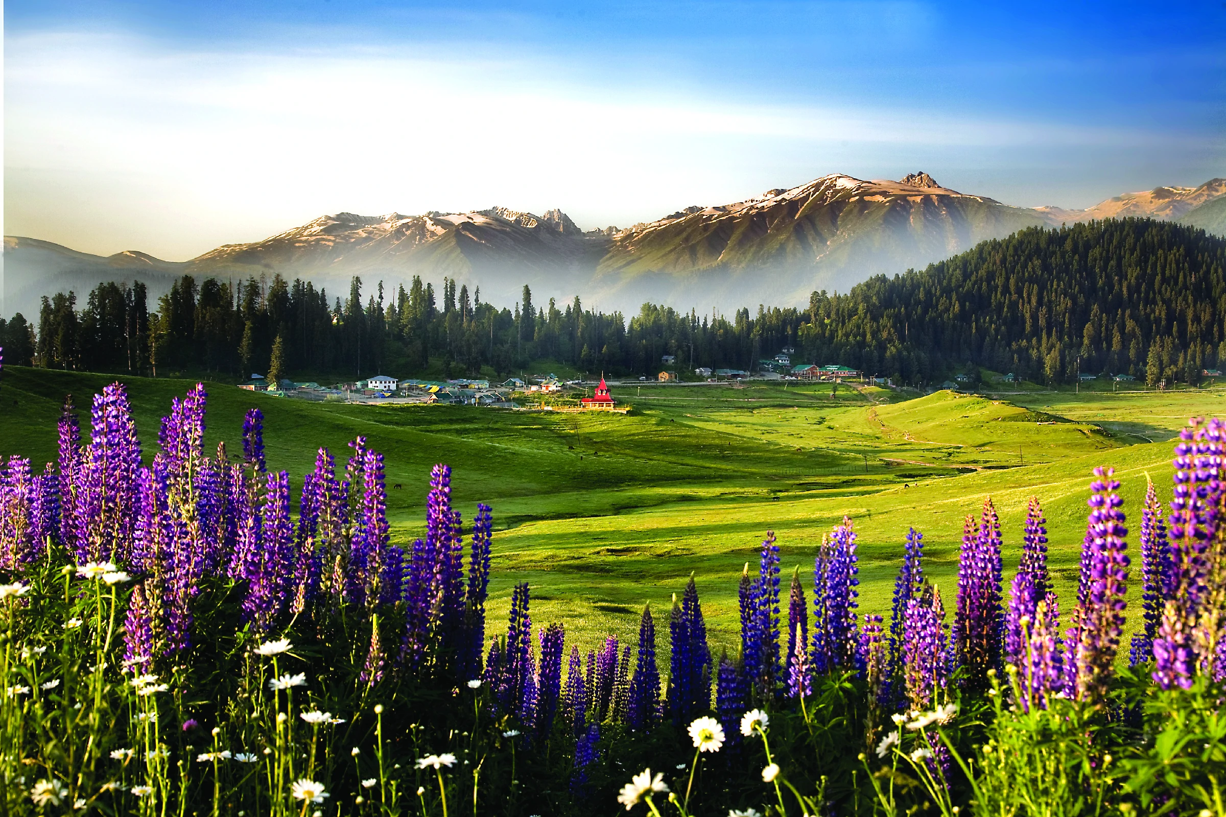 Gulmarg Gondola Adventure