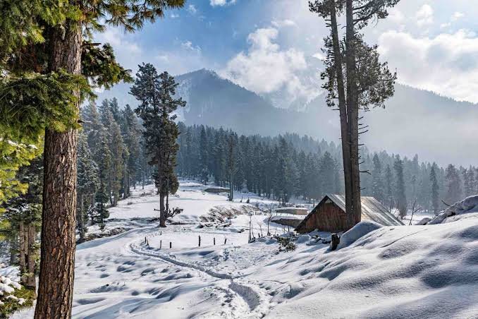 Pahalgam Valley & Betaab Valley Trek